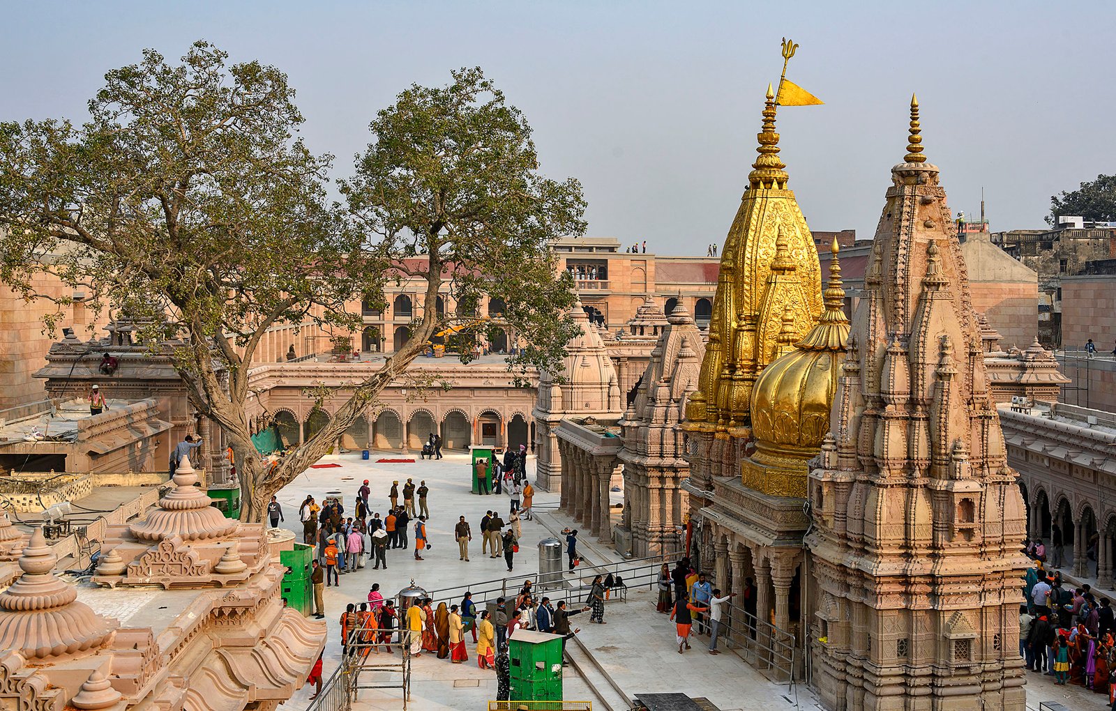 Contact SWJ Swaraj Tours